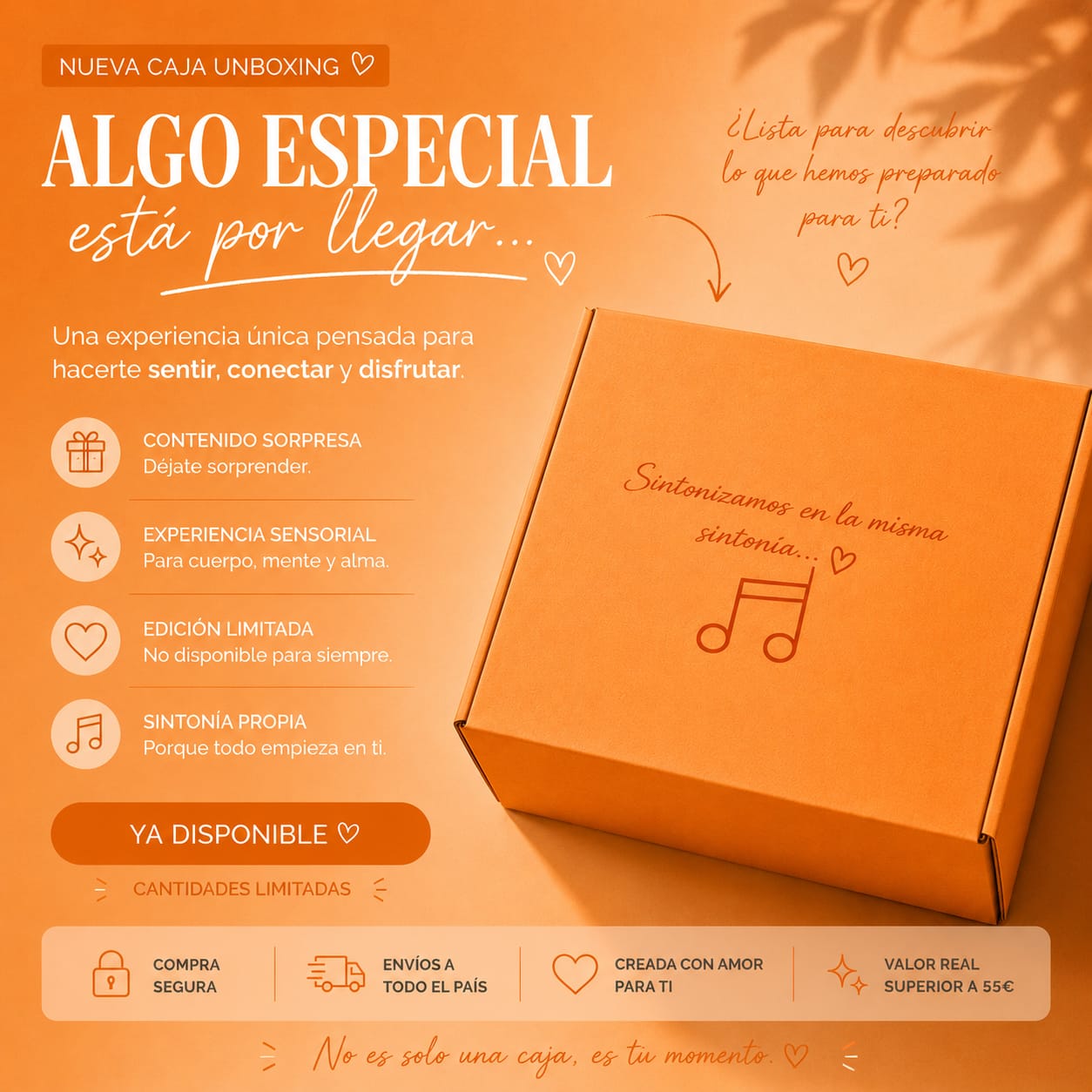 Caja Experiencia Sintonía